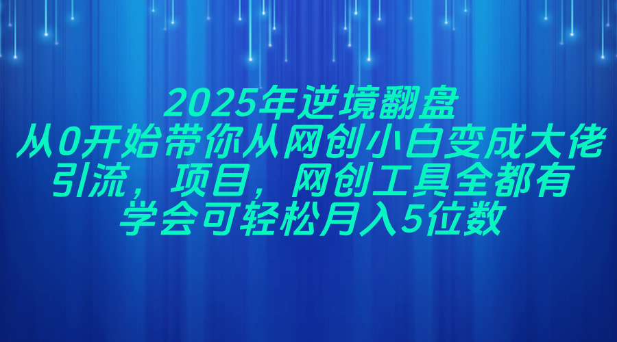 2025年逆境翻盘，从0开始带你从网创小白变成大佬，引流，项目，网创工...-Zv头条